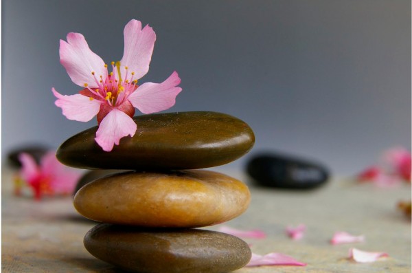 CURSO TERAPIA HOLÍSTICA